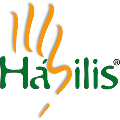 Hábilis Consultoria